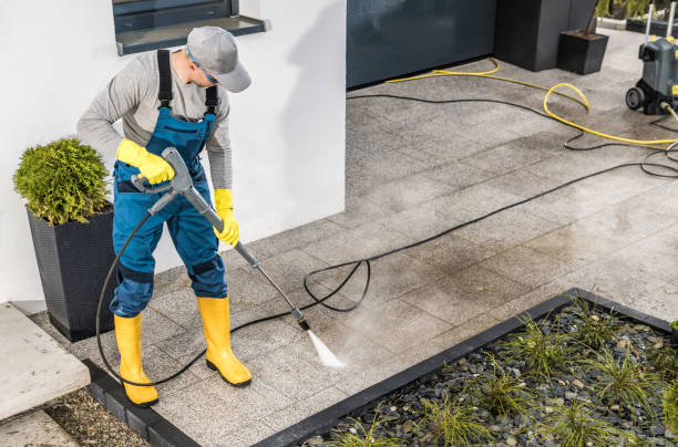 Best Window Cleaning in Web, AL